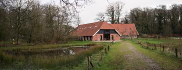 Cottages in Balkbrug