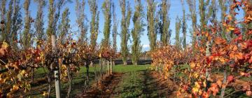 Haustierfreundliche Hotels in Coonawarra