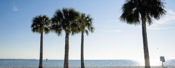 Cabanes i cottages a Hernando Beach