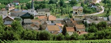 Hotels with Parking in Ansembourg