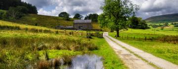 Cottages in Scorton