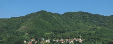 Cottages in Prunetta