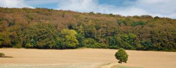 Hotelek Ronnenbergben