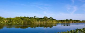 Hotele przyjazne zwierzętom w mieście Haw River