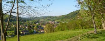 Lággjaldahótel í Castello di Serravalle