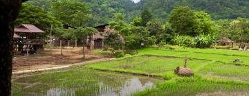 Hotel dengan Parking di Kampong Bertam