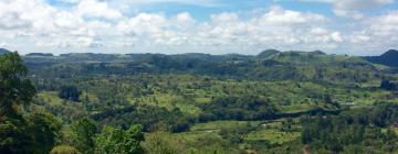 Hoteles en Volcán