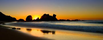 Hotel pet friendly a Bermagui