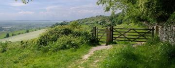 Cottages in Coln Saint Aldwyn