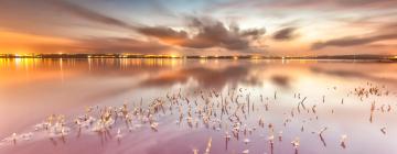 Διαμερίσματα σε Las Salinas