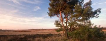 Locations près de la plage à Wellerlooi