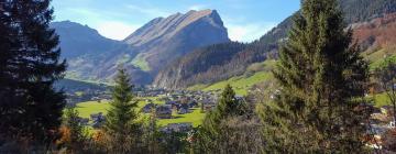 Hotel con parcheggio a Schnepfau