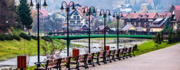 Alojamentos com Cozinha em Czarny Dunajec