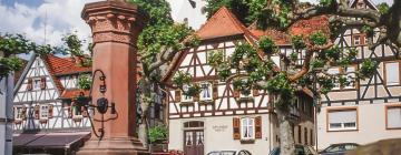 Hotels with Parking in Zwingenberg