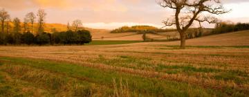 Cottage a Wiveliscombe