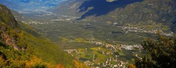 Budjettihotellit kohteessa Cortina Sulla Strada Del Vino