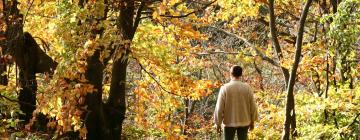 Alquileres vacacionales en Saales