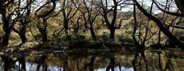 Parkolóval rendelkező hotelek Dolianában