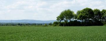 Hotell med parkering i Schwabenheim