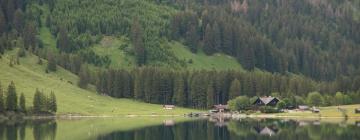 Guest Houses in Persenbeug