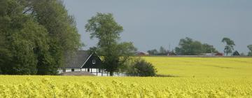 Hotels mit Parkplatz in Skurup