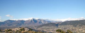 Bed and breakfasts a Alatri