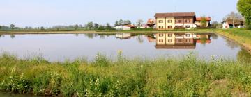 Hotels in Gropello Cairoli