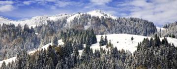 Cabins in Königsleiten