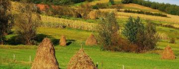 Guest Houses in Durău