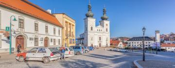 Hoteles familiares en Bystřice nad Pernštejnem