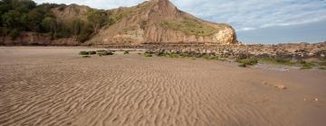 Beach rentals in Cayton