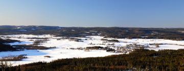 Hotelek Borlängében