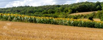 Hotéis em Château-du-Loir