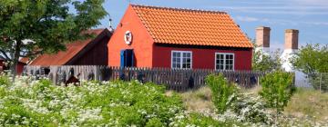 Cottages in Snogebæk