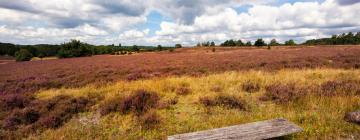 Alquileres vacacionales en Oberhaverbeck