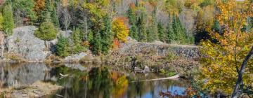 Viešbučiai su vietomis automobiliams mieste Algonquin Highlands