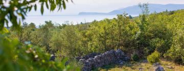 Παραθεριστικές κατοικίες σε Polje