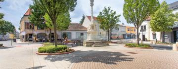 Habitaciones en casas particulares en Mattersburg