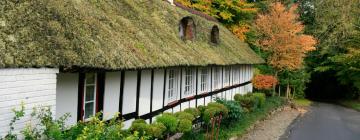 Casas y chalets en Toftlund