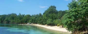 Mga Hotel na may Pool sa Green Island