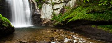 Viešbučiai su vietomis automobiliams mieste Pisgah Forest