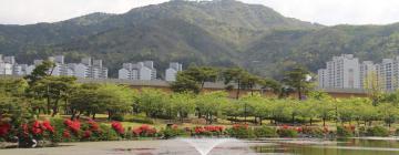 Hoteles con estacionamiento en Gimhae