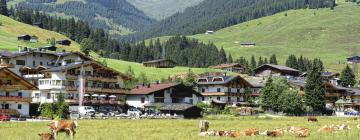 Hotels with Parking in Gerlosberg