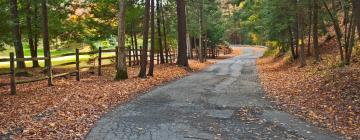 Cottages in Cresco