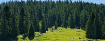 Casas y chalets en Bièvre