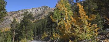 Hoteles con estacionamiento en Yosemite West