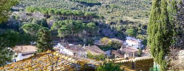 Rentas vacacionales en Selva de Mar