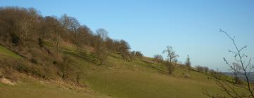 Cottages in Charing