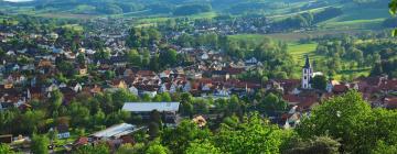 Hoteles con estacionamiento en Reichelsheim