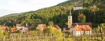 Cheap Hotels у місті Schwanberg